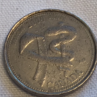 2000-April-Health-Quarter-Coin-Error